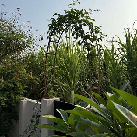 The Bougainvillea Cottage Farmstay Near Dehradun , 2 Bedroom Private Cottage Next To Fields And Orchards With Hill Views Exterior foto